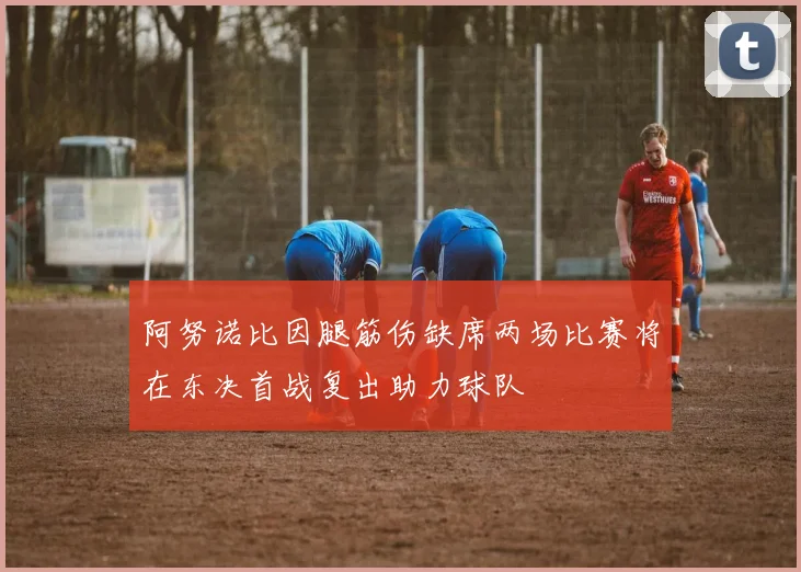 阿努诺比因腿筋伤缺席两场比赛将在东决首战复出助力球队