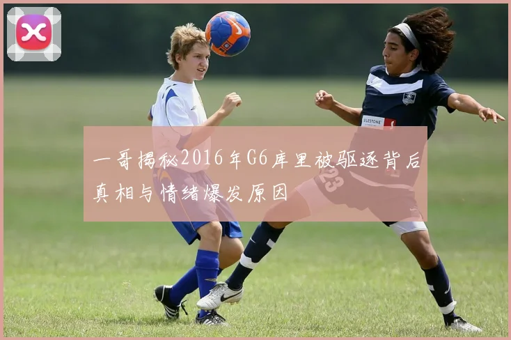 一哥揭秘2016年G6库里被驱逐背后真相与情绪爆发原因